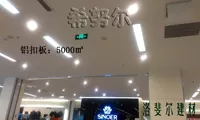 希努尔